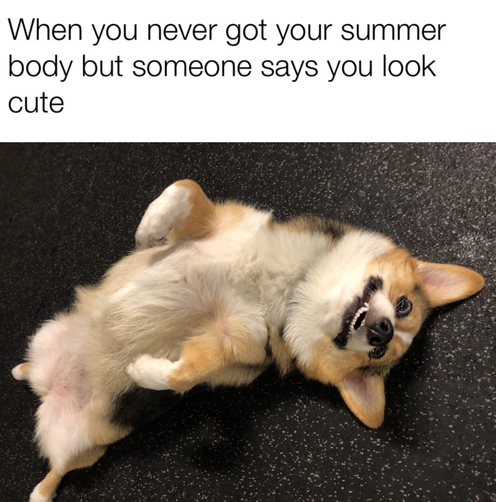 summer meme