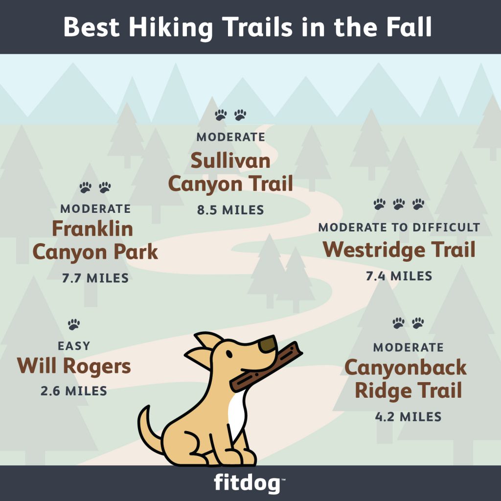 best fall hiking trails in Los Angeles