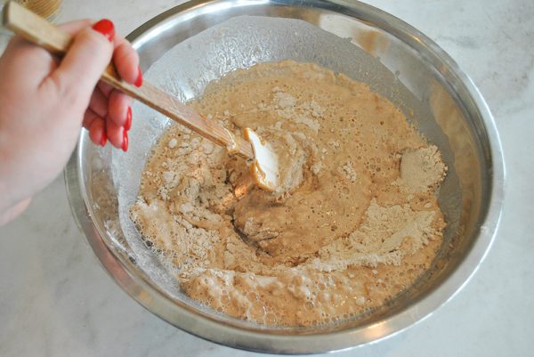 diy doggie christmas cookies