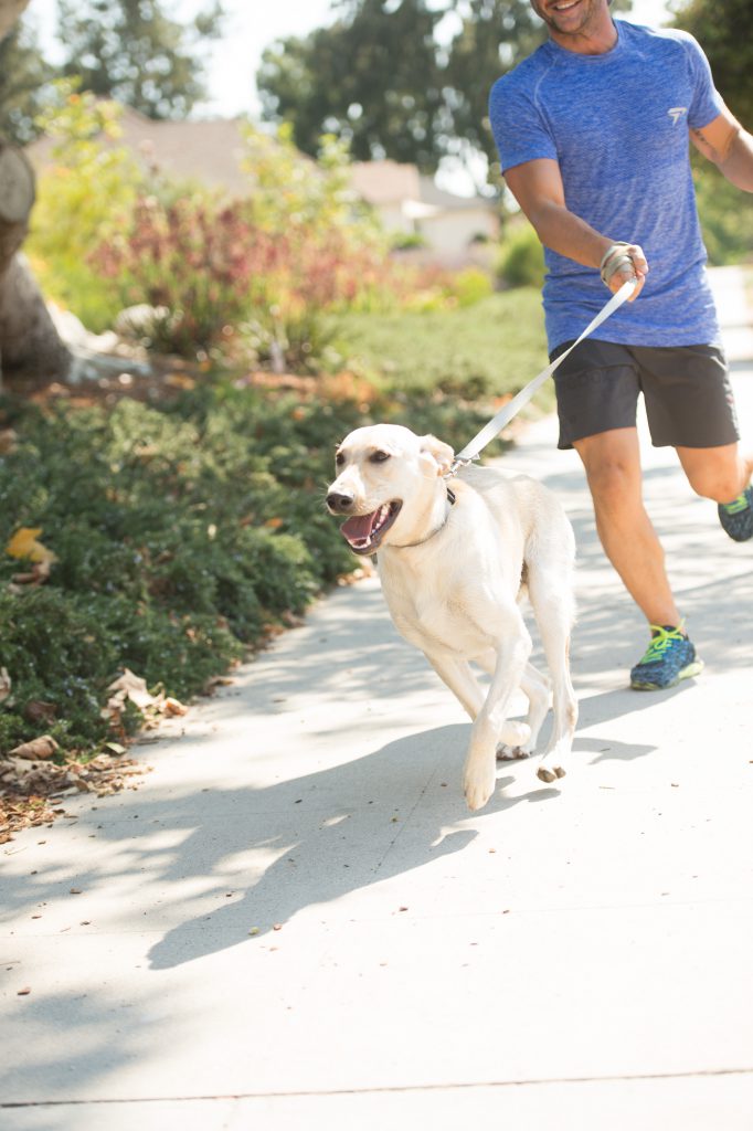 exercises dogs love