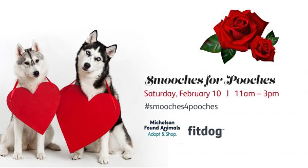 smooches 4 pooches