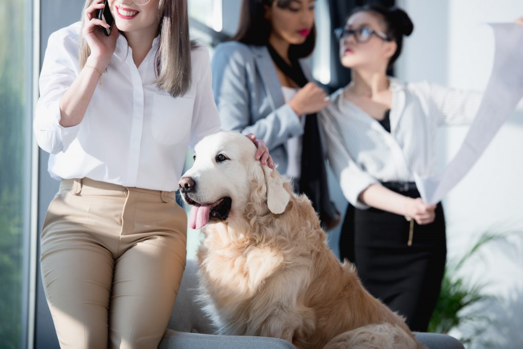 take your dog to work day