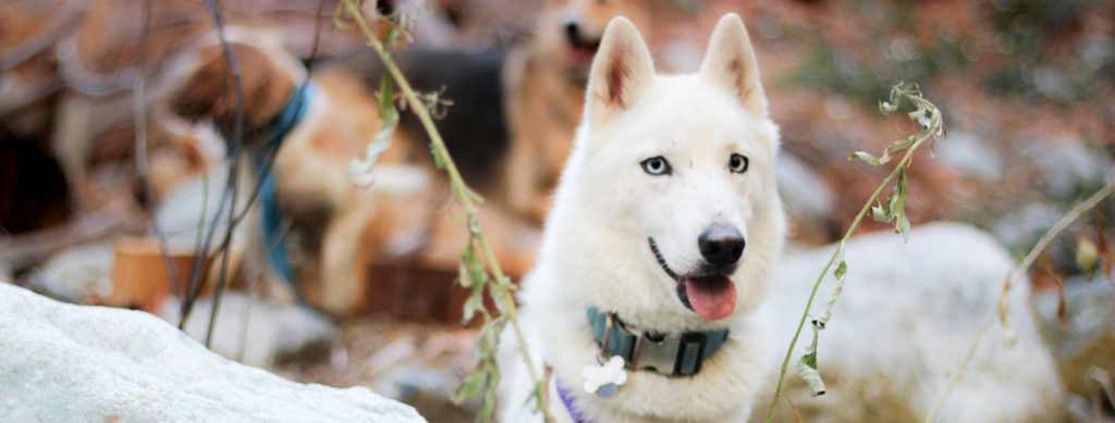 winter hikes in LA