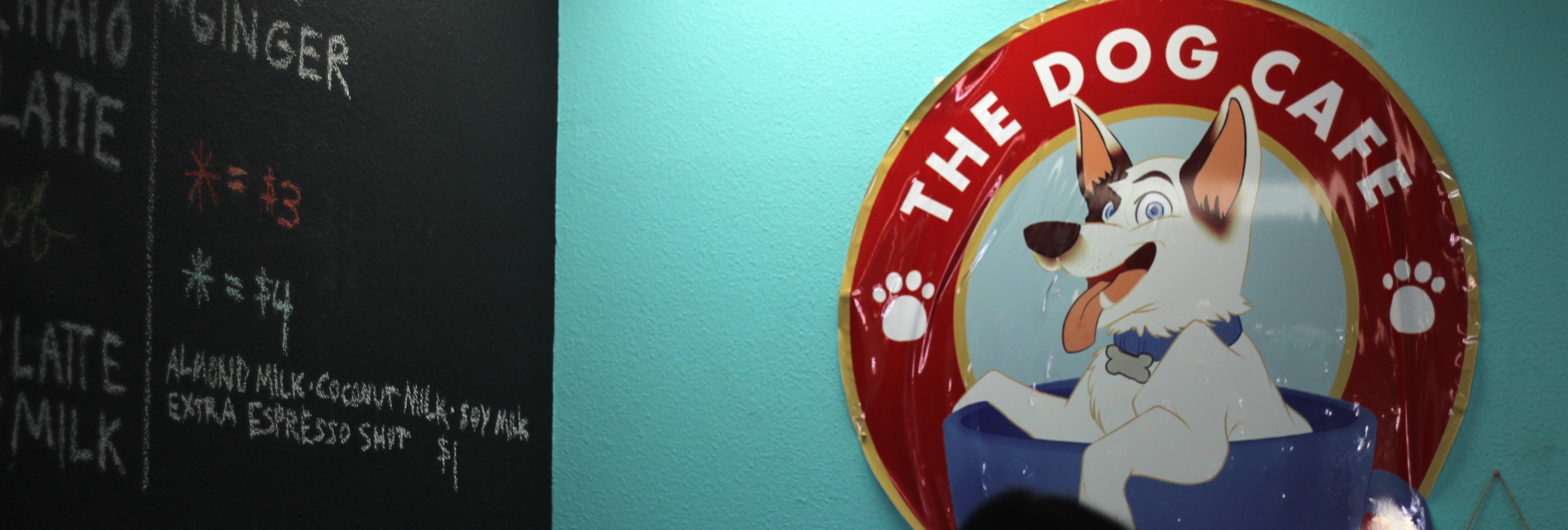 How The Dog Cafe is evolving adoption for the better Fitdog