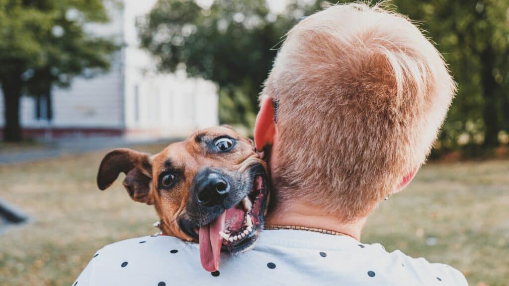 Hugging sales your dog