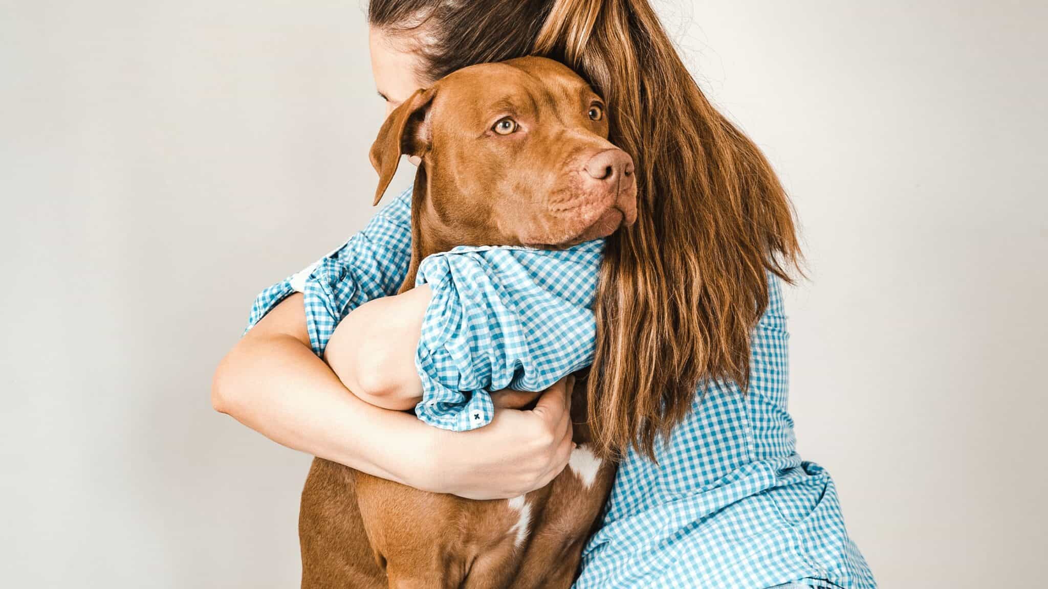 7 reasons why you actually shouldn’t hug your dog