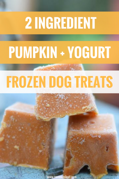 pumpkin benefits dogs