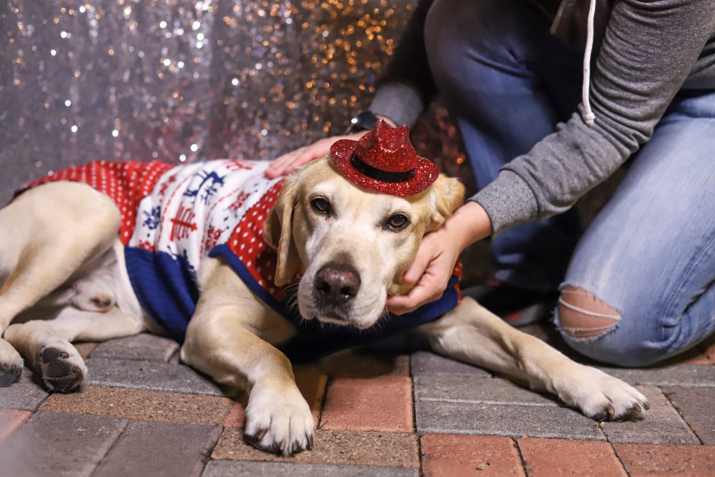 ugly sweater pawty