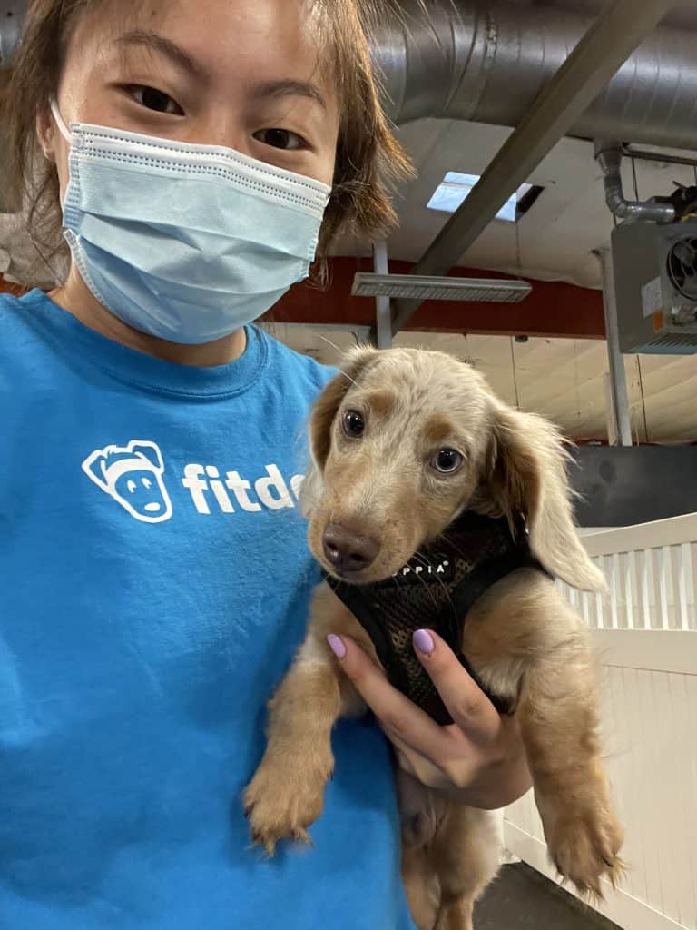 staff holding little dog