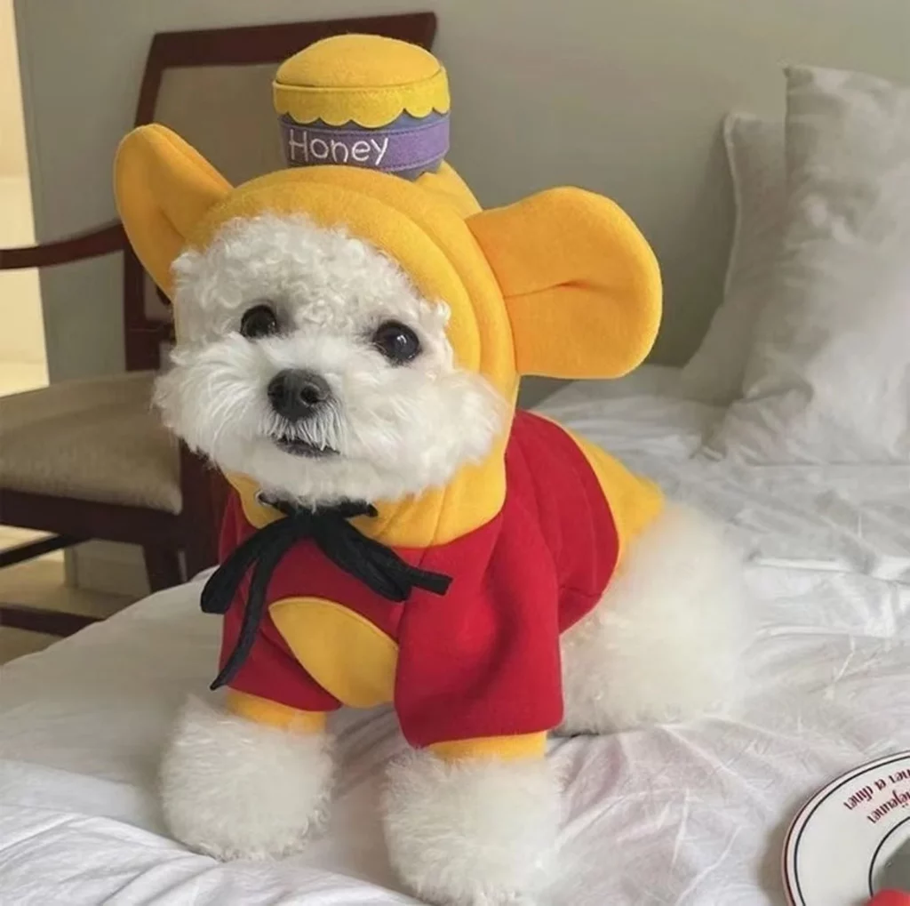 a small, white poodle is dressed in a yellow and red hoodie with pooh bear ears and a yellow and purple honey jar on top.