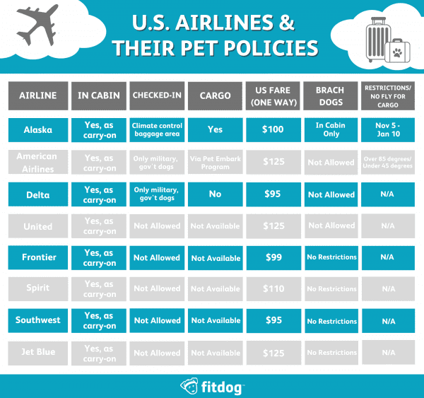 The Best DogFriendly Airlines and Their Pet Policies