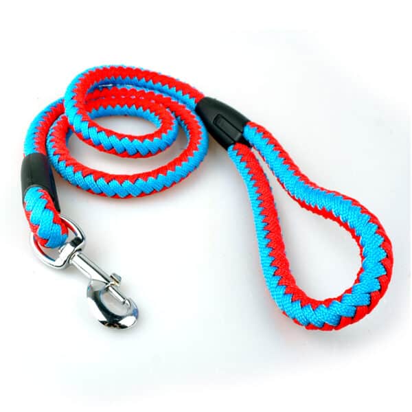 neon blue and orange dog leash