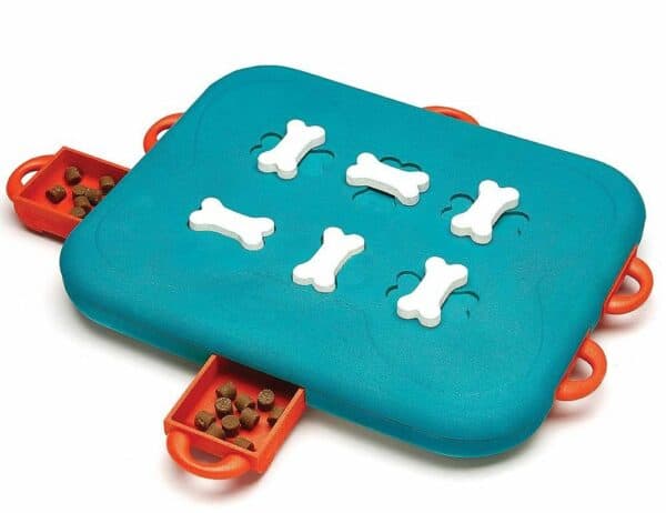 blue and orange treat-hiding dog puzzle