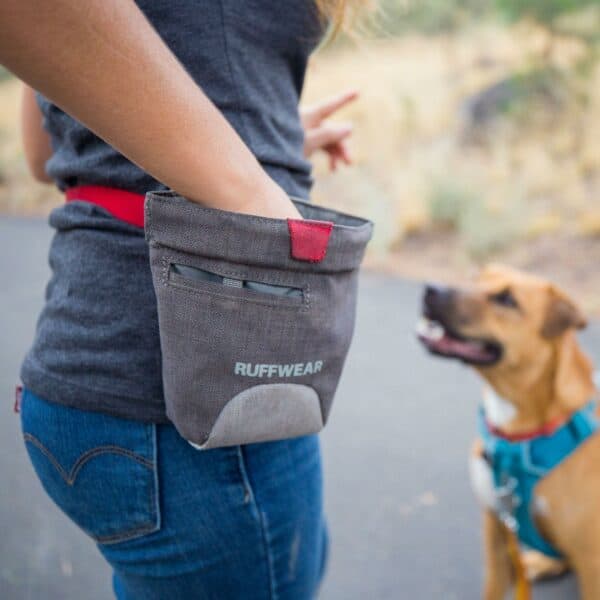 person reaches into a treat pouch with one hand while commanding their dog to sit with the other