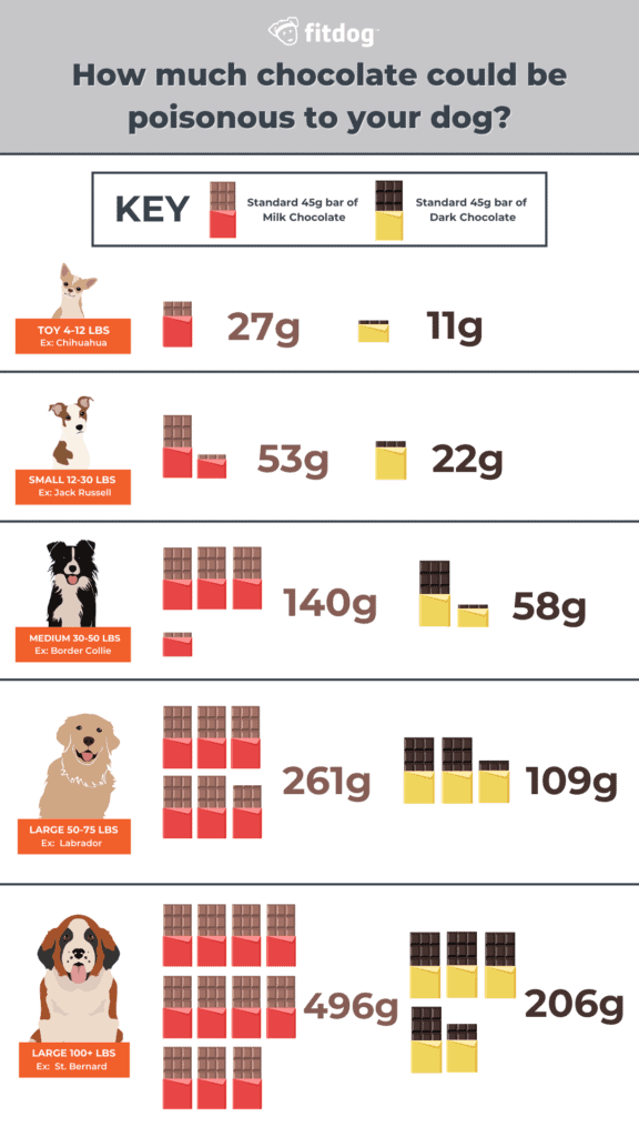 infographic how much chocolate could be poisonous to your dog